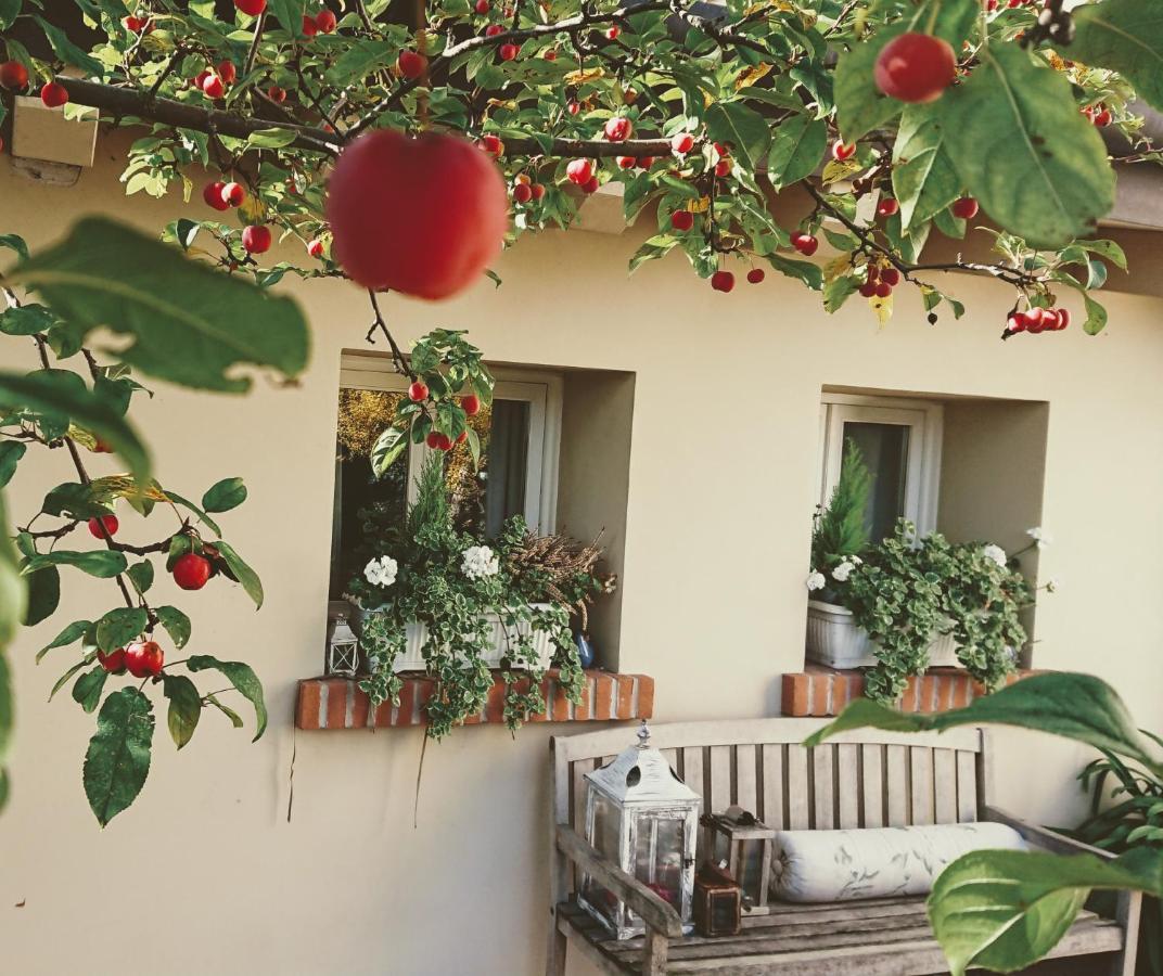 فيلا سيرو برانكوفي La Casa Del Giardiniere المظهر الخارجي الصورة