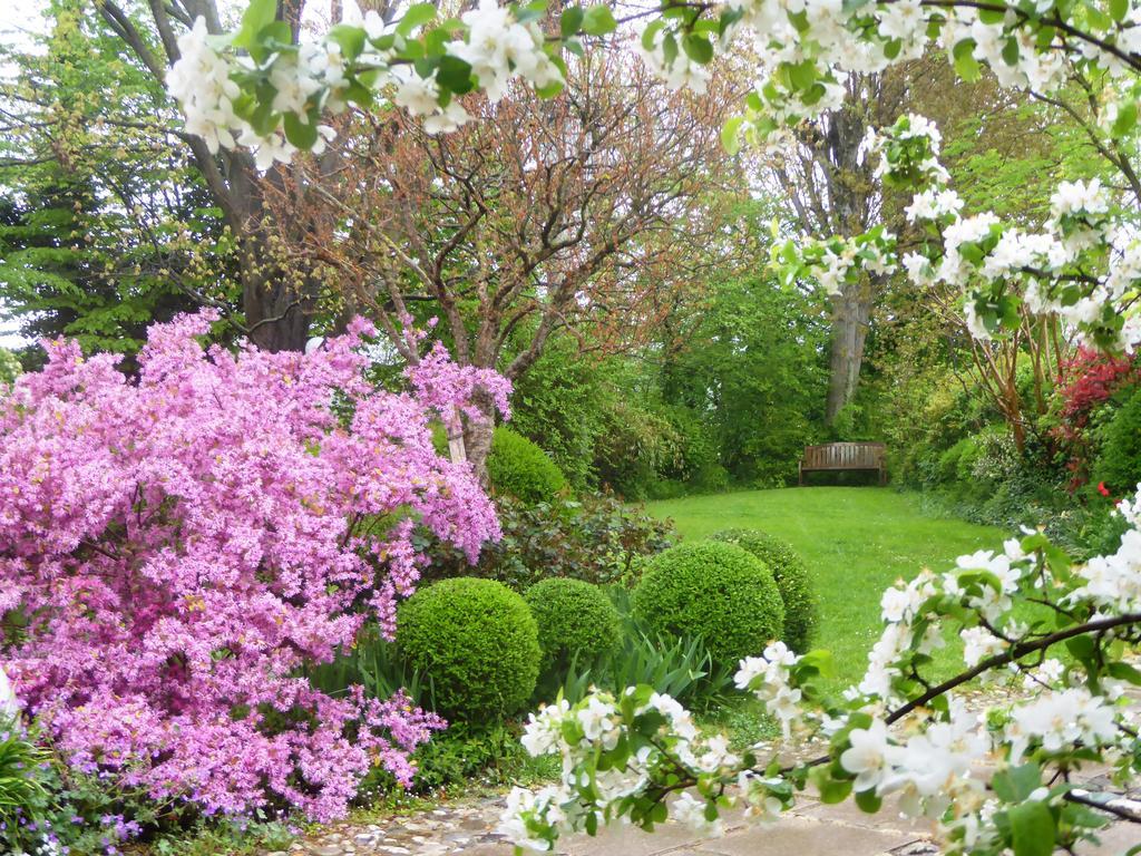 فيلا سيرو برانكوفي La Casa Del Giardiniere المظهر الخارجي الصورة