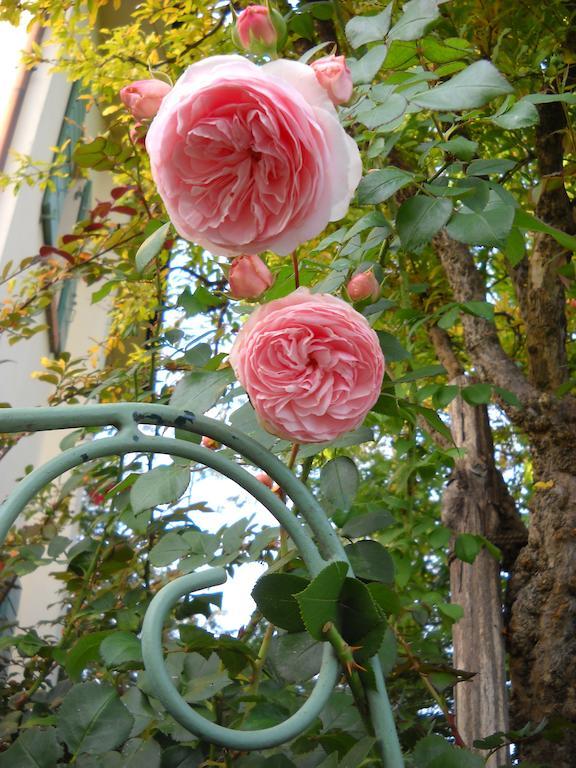 فيلا سيرو برانكوفي La Casa Del Giardiniere المظهر الخارجي الصورة