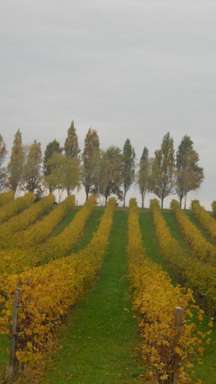 فيلا سيرو برانكوفي La Casa Del Giardiniere المظهر الخارجي الصورة