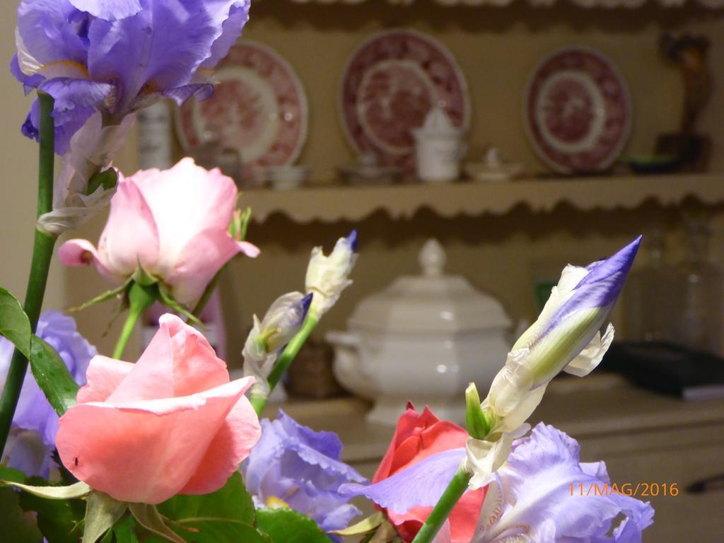 فيلا سيرو برانكوفي La Casa Del Giardiniere المظهر الخارجي الصورة